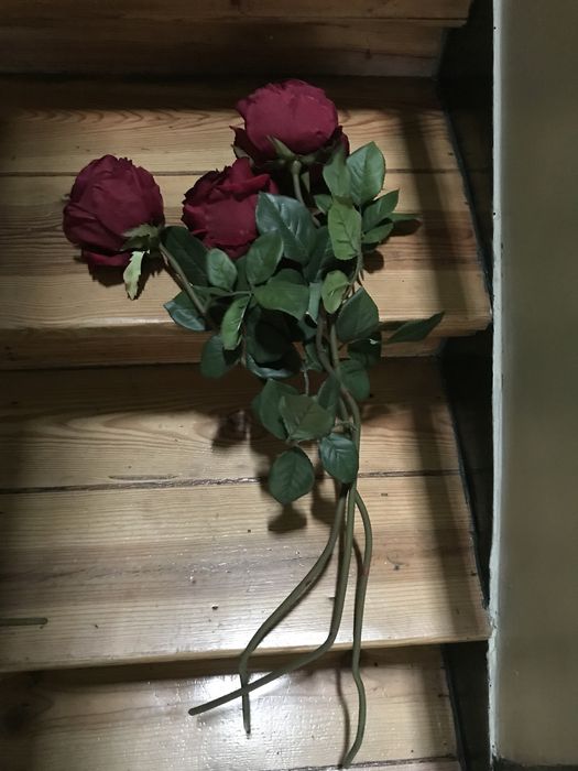 Vista Alegre e outros