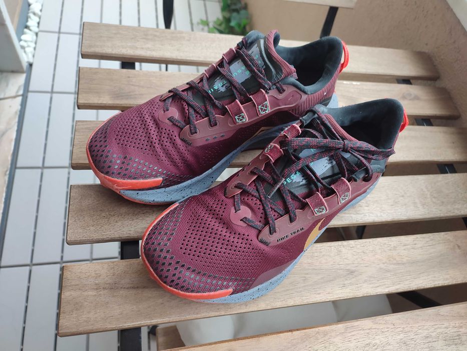 Nike Pegasus Trail 3