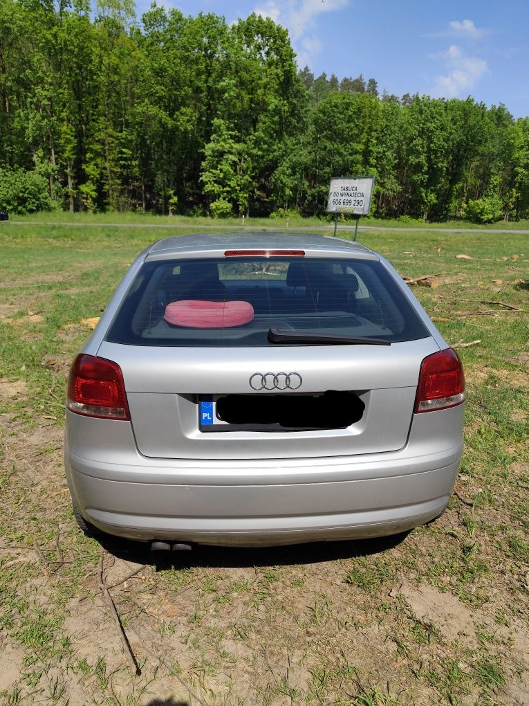 Audi a3 8P.2004 ,1,9 TDI