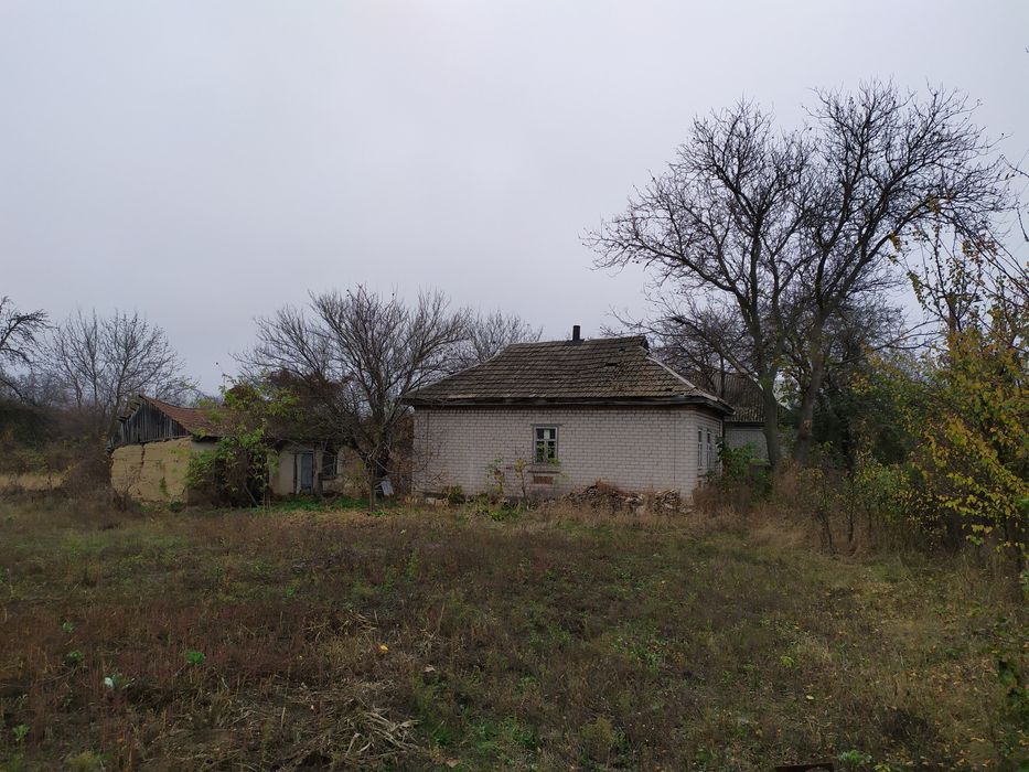 Продажа дома Белецковка (17 соток)