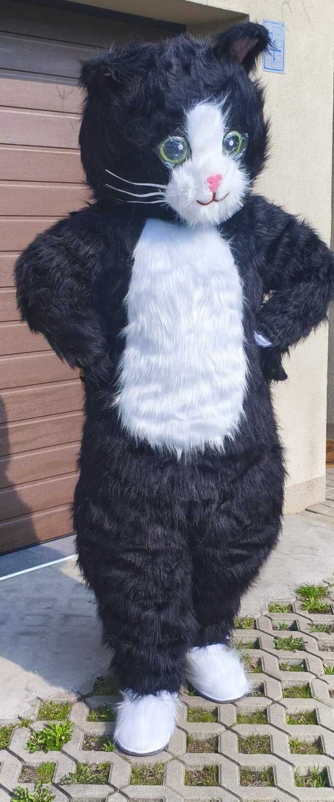 Żywe maskotki wynajem wysyłkowy strojów Misio Piesek Panda Kot Smok