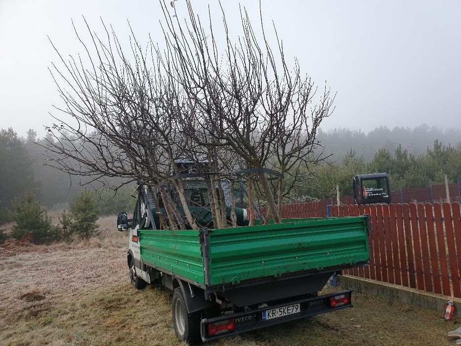 Usługi transportowe - WYWROTKA -