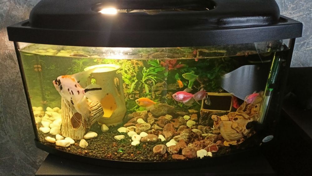 Продам аквариум на 60 л со всем .