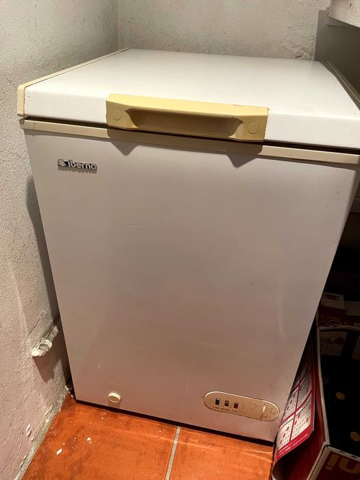 Arca congeladora Iberna