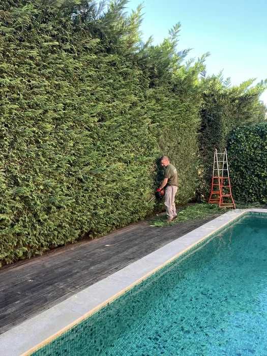 Manutenção Jardins (Jardineiro)