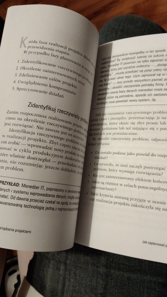 Zarządzenie projektami. Osobisty mentor.