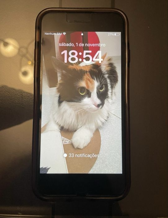 iPhone 8 com câmara danificada – 64GB