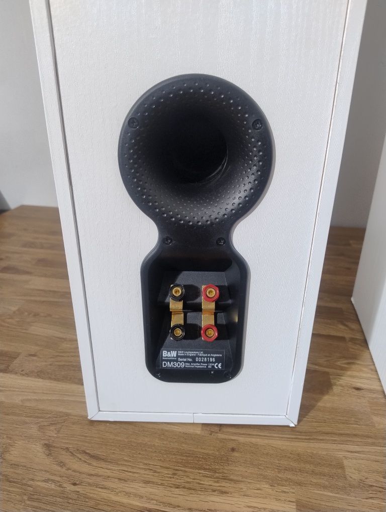 Kolumny głośnikowe Bowers&Wilkins  DM309
