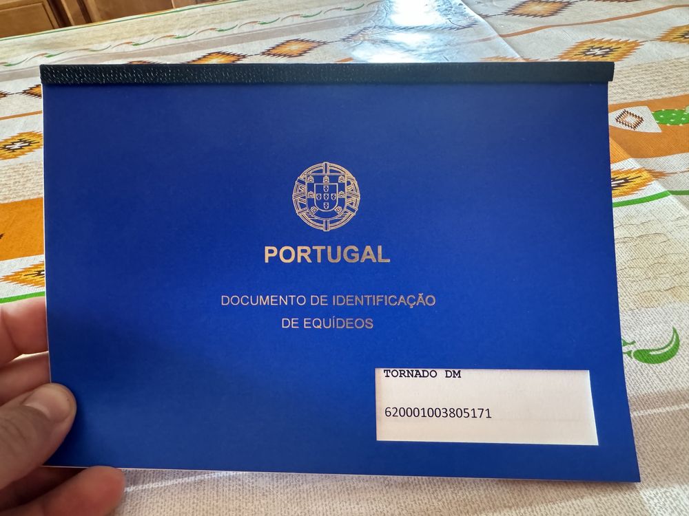 Poldro cruzado portugues