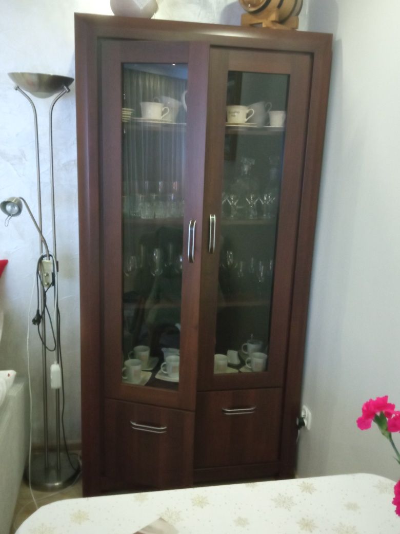 Witryna do salonu