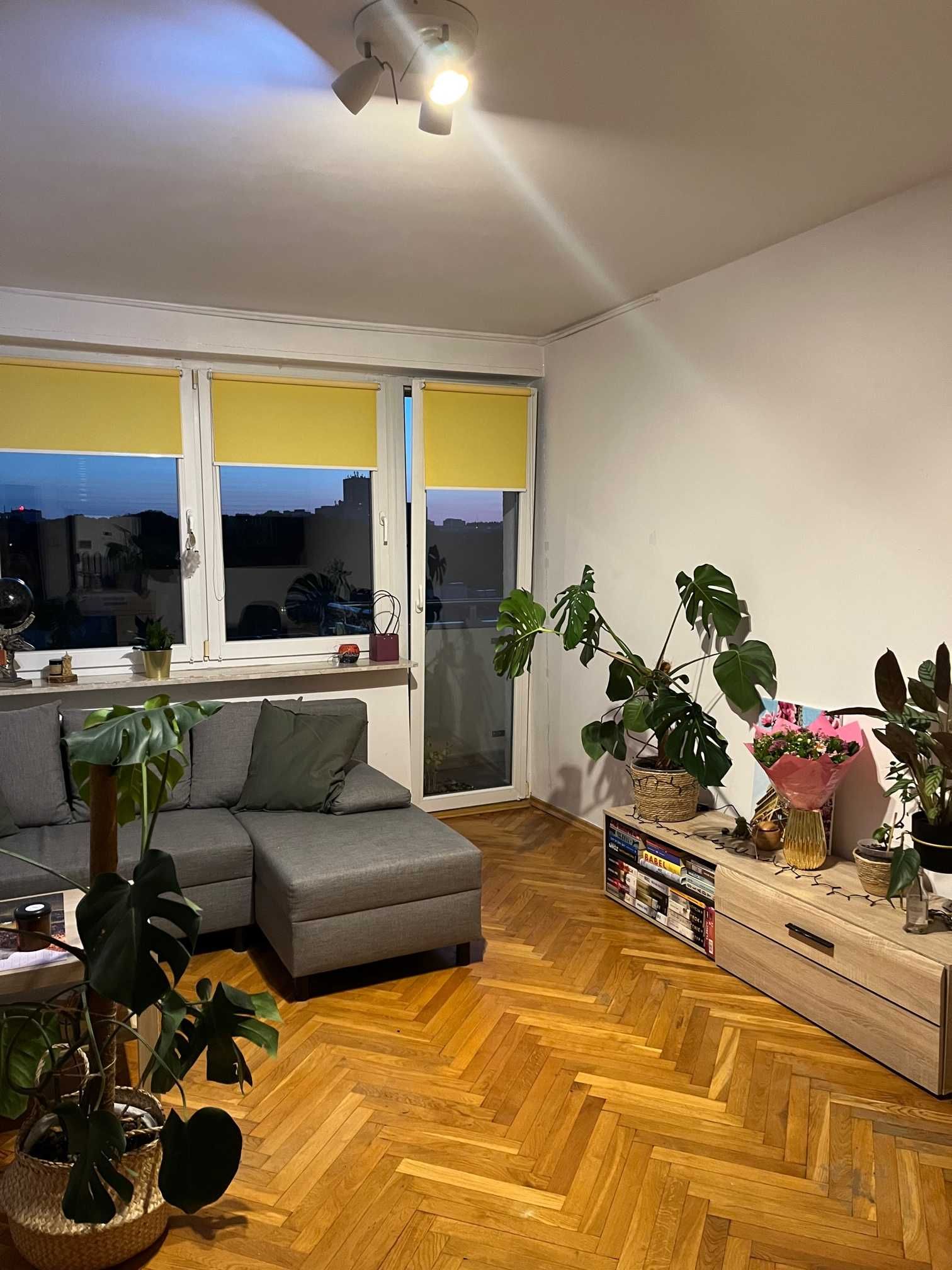 wynajmę mieszkanie 38 m2, Mokotów, Belwederska