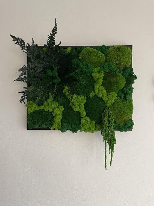 Obraz z mchu, prezent, dekoracja