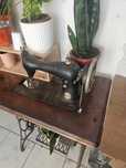 Máquina de coleção