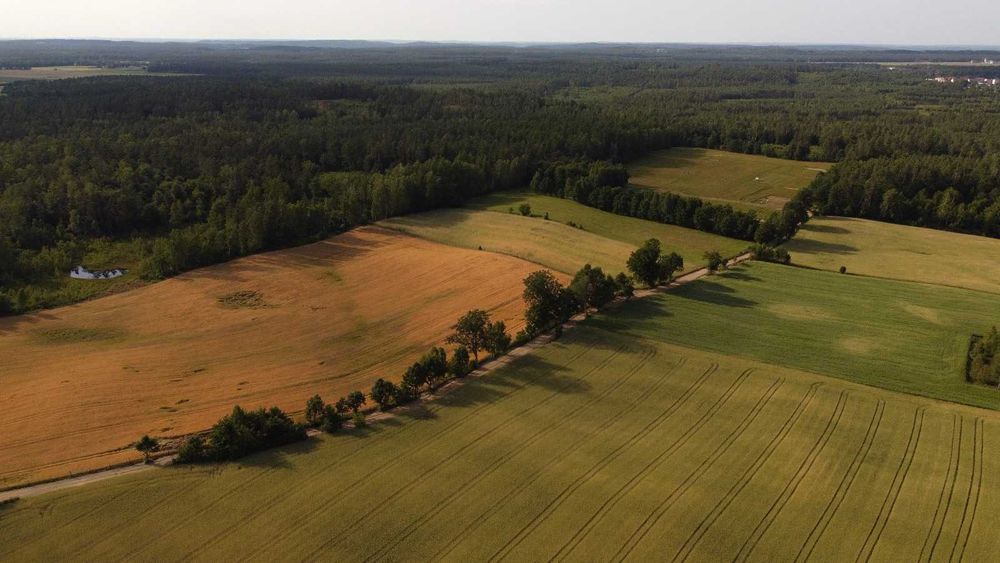 60% taniej, Działka pod agroturystke, działka z własnym stawem, Pieski