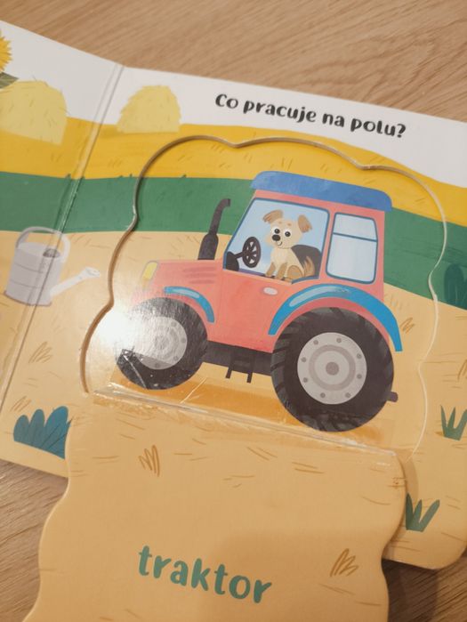 Książki grające z dźwiękami książeczki mojej pierwsze odgłosy twarde