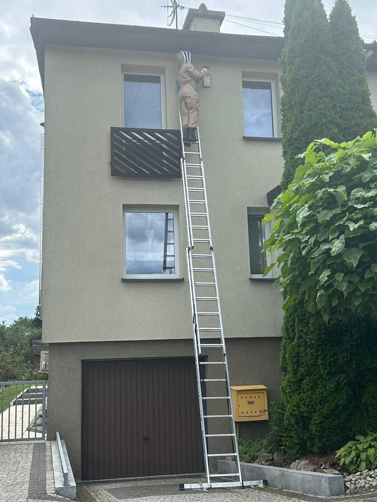 Usuwanie gniazda os i szerszeni