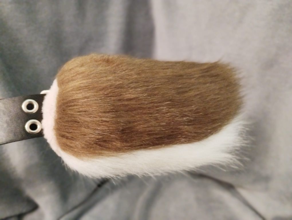 Brązowo biały ogon furry mały