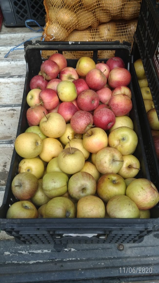 Caixa de fruta com 10kg