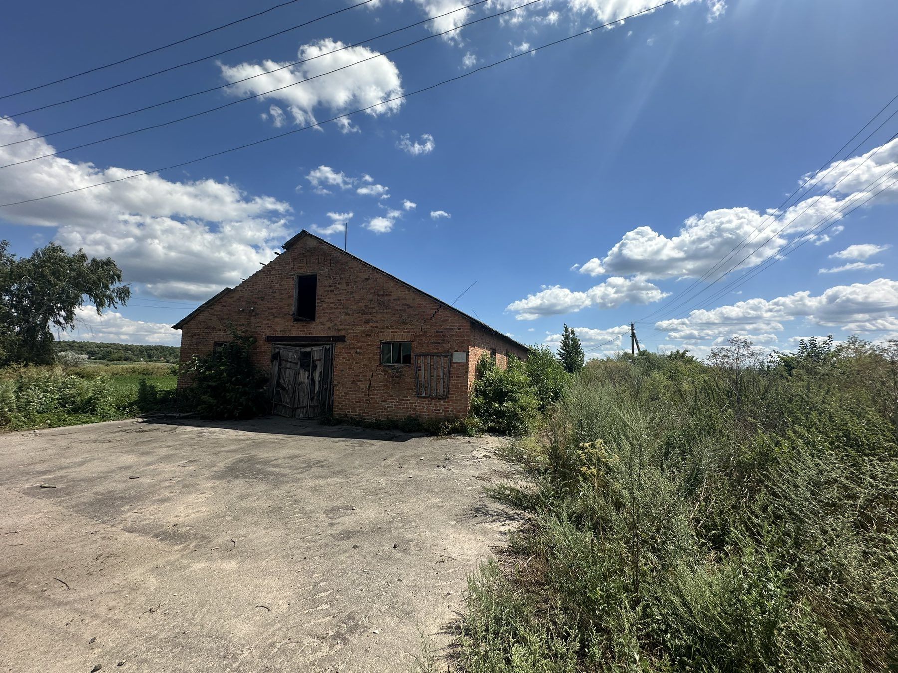 Оренда Свиноферми, Богуслав, 3480 м²