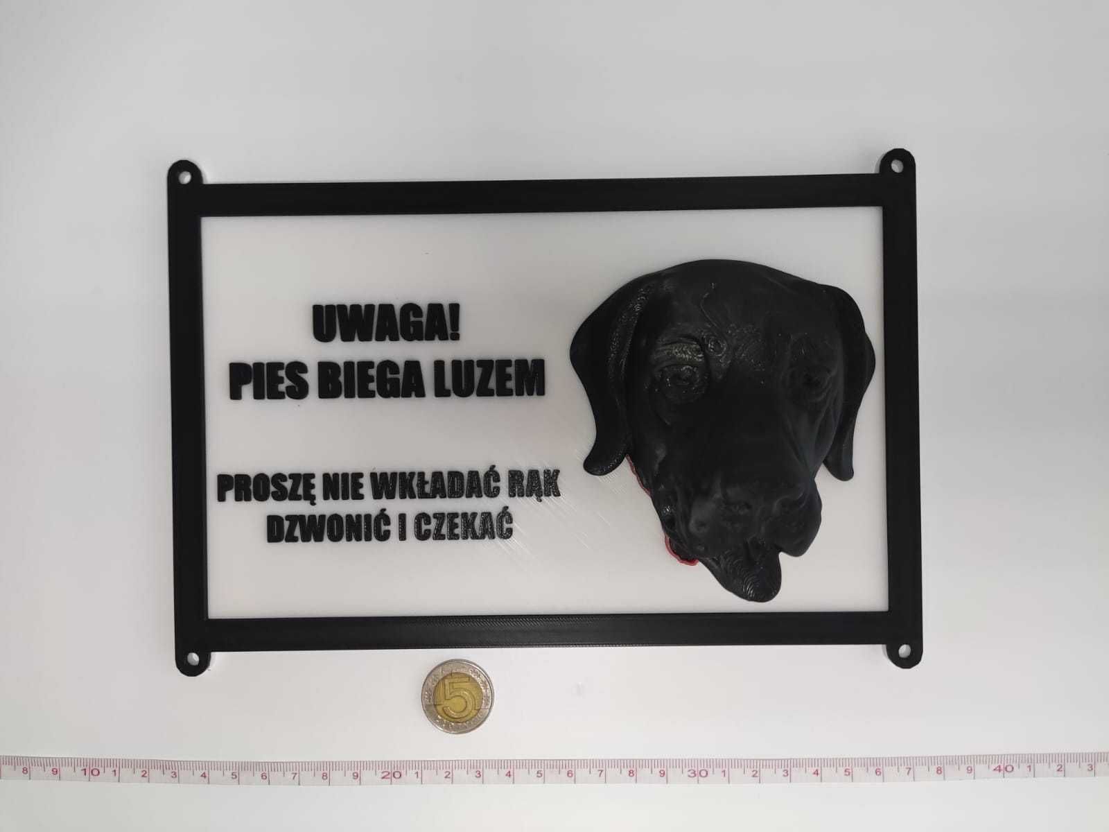 Tabliczka uwaga pies 3d - labrador