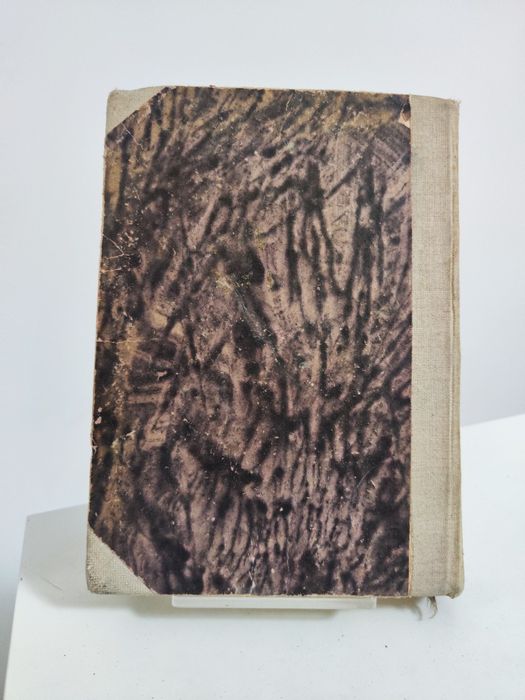 Temat Wrocław Szkice śląskie - Tadeusz Mikulski