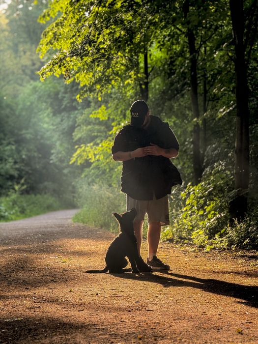 Behawiorysta i szkolenie psów Poznań | Swarzędz