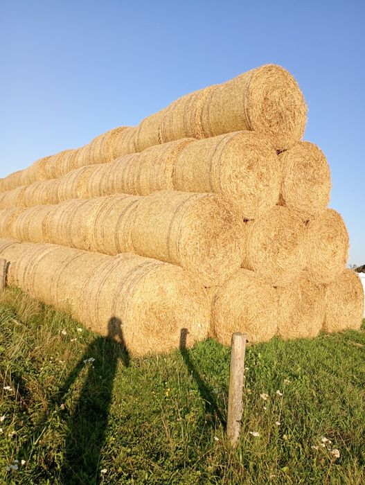 Sprzedam słomę po 100 zł proszę o kotakt