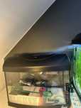 Akwarium diversa startup 37.5 l