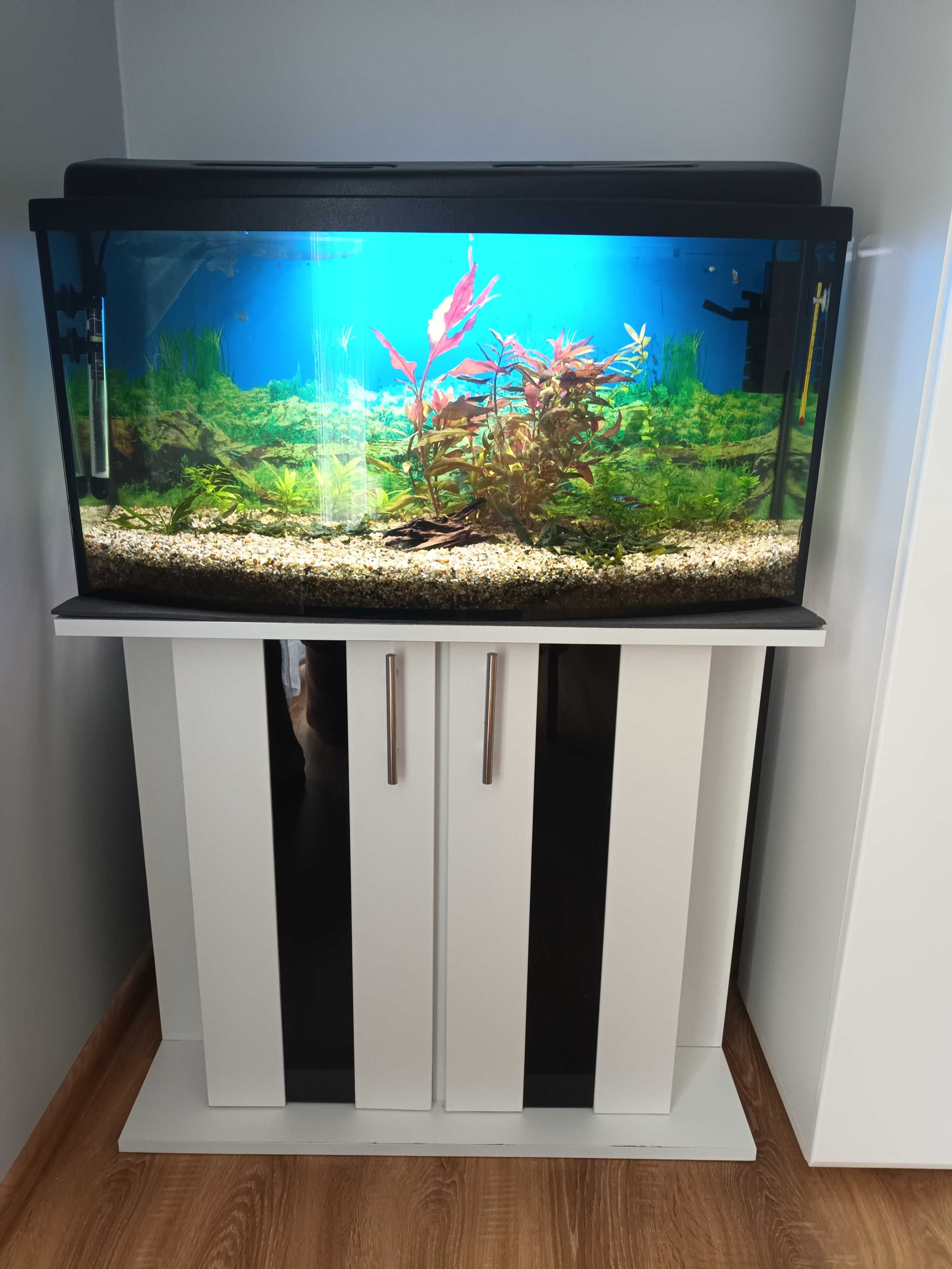 Akwarium 112 L + Akcesoria