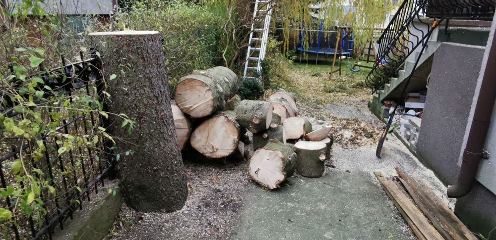 Wycinki drzew, met.alpinistycznymi, z użyciem dźwigów, podnośników