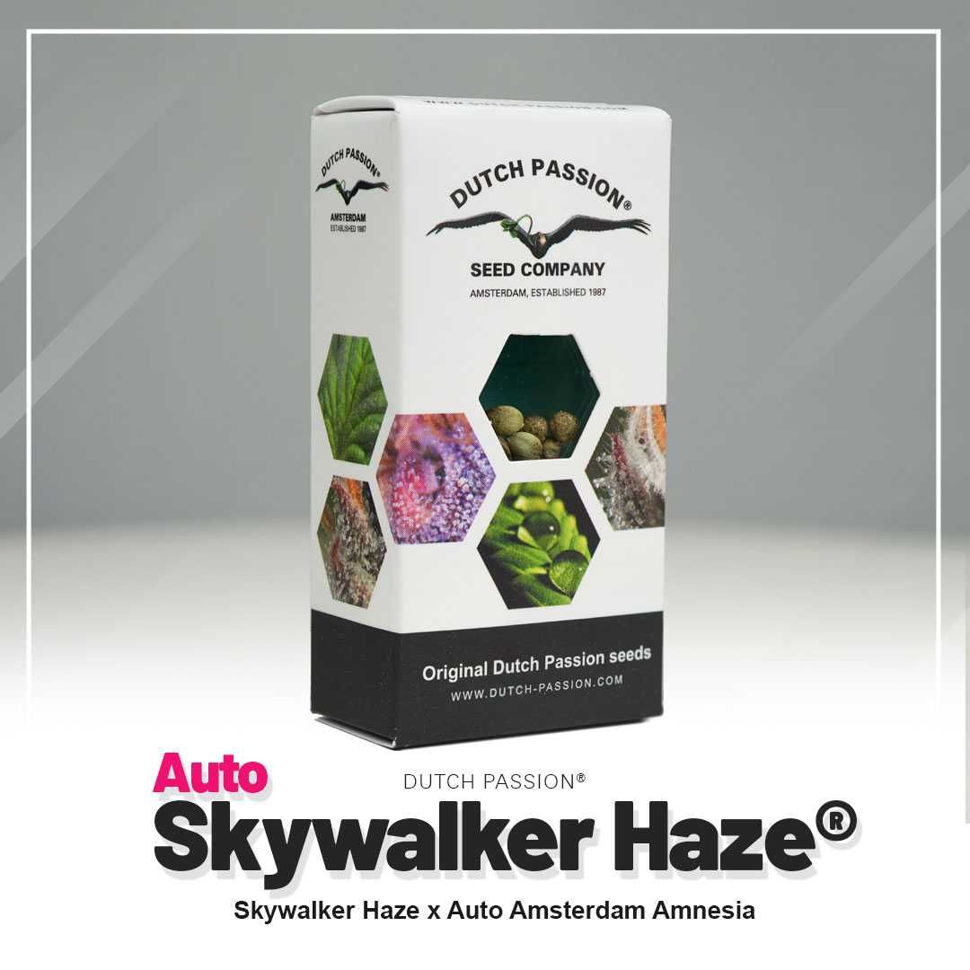 Nasiona konopi Auto Skywalker Haze Dutch Passion 7 szt.