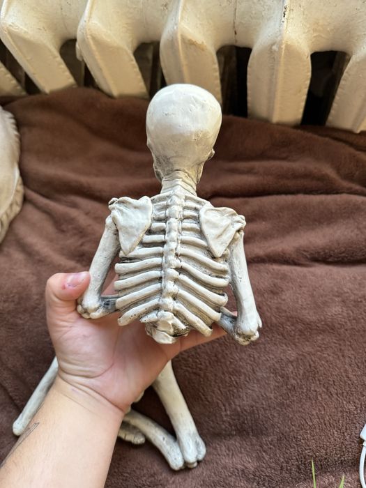 Продам статую череп