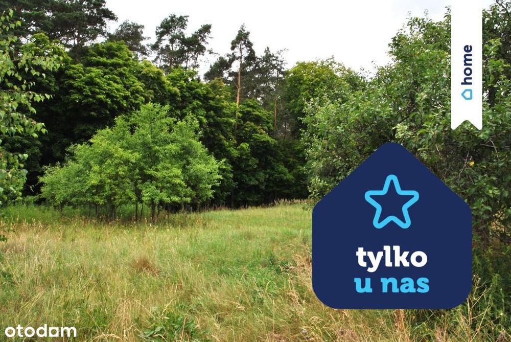 Działka z WZ - Łachowo - Gmina Szubin