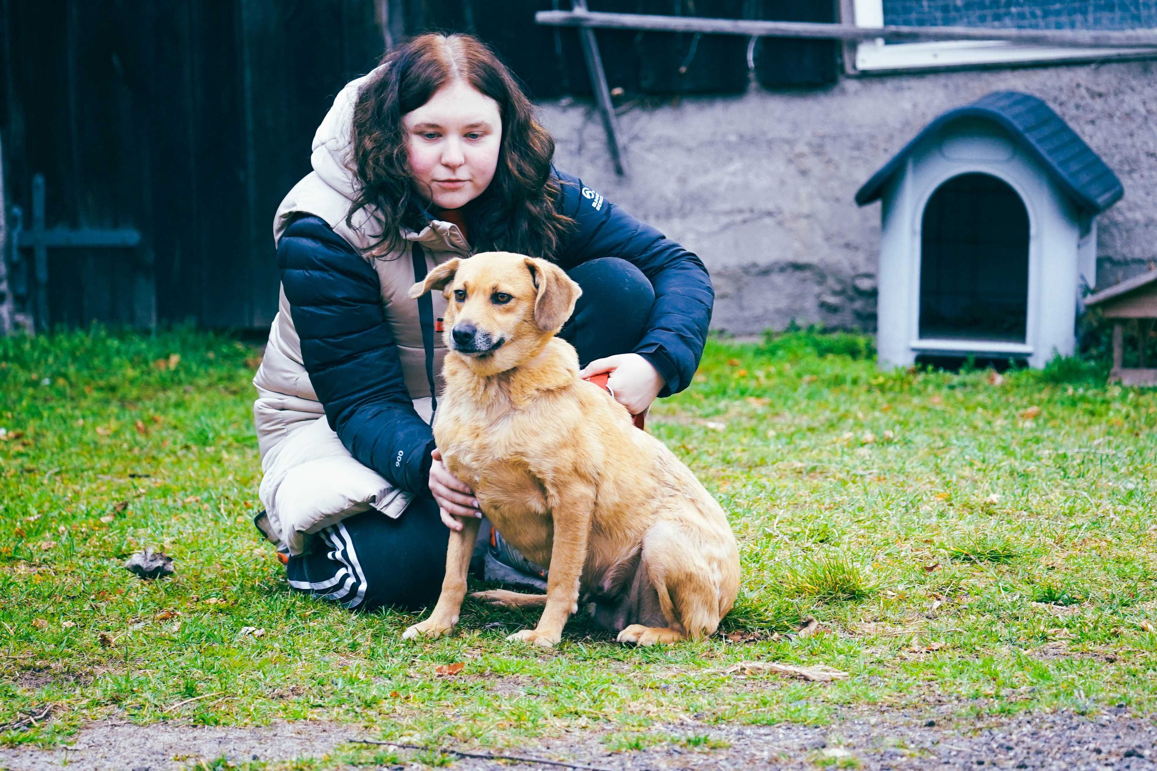 Lenka - śliczna , ruda sunia