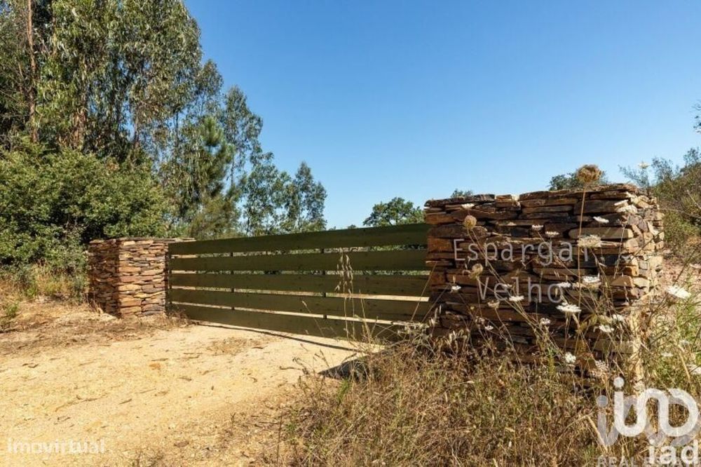 Terreno em São Salvador e Santa Maria de 210,00 m2