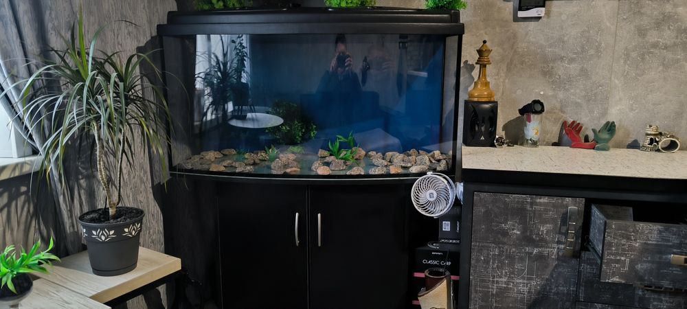 Аквариум, тумба, помпа