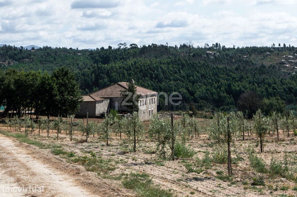 Propriedade Única no Norte de Portugal-Deslumbrante Quinta de 17 HA