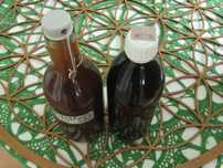 Okazja Ekstrakt z trzech adaptogenów Soplówka,Reishi,Cordyceps 550ml