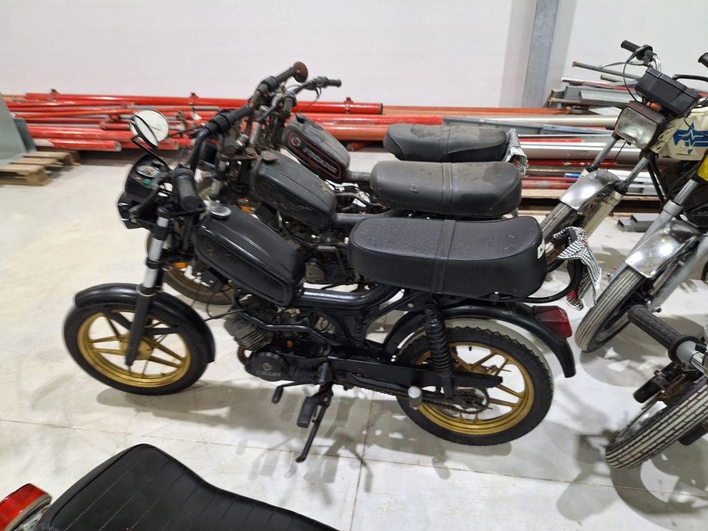 Famel xf 17 sachs v5