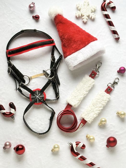 Littlehorses - Zestaw świąteczny z ogłowiem dla Hobby Horse