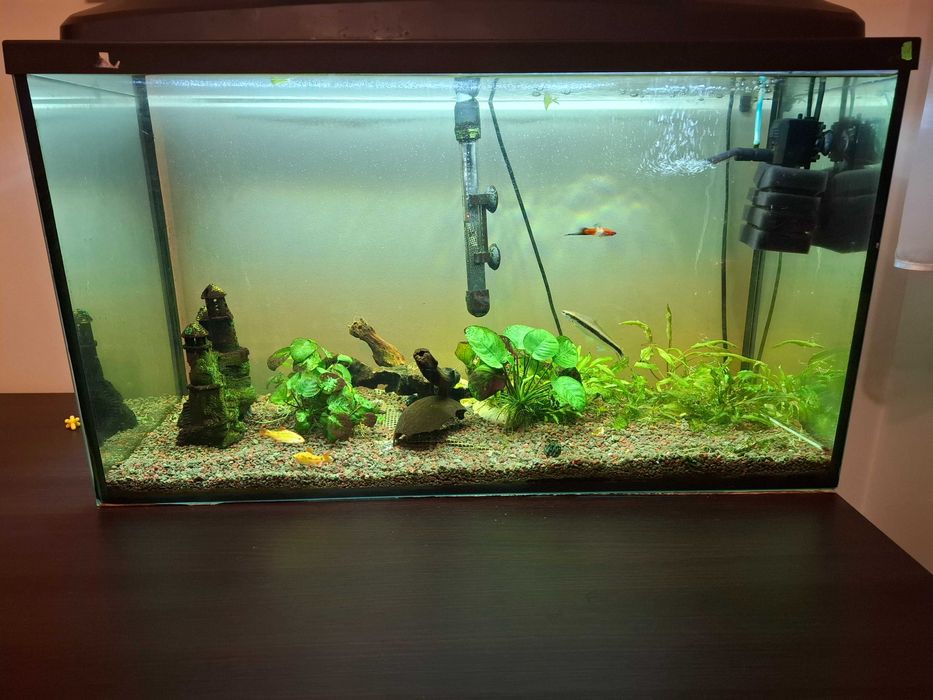 Akwarium 120 l z rybami i sprzetem