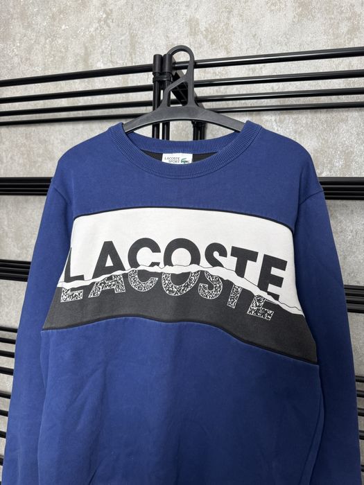 Свитшот Lacoste