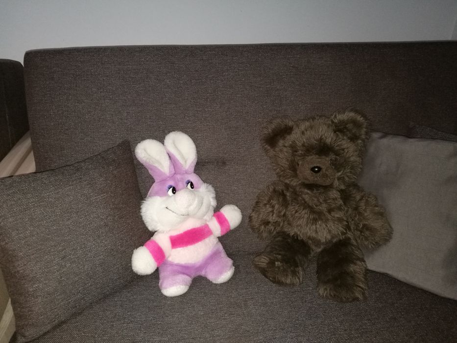 Miś, królik, maskotka, przytulanka
