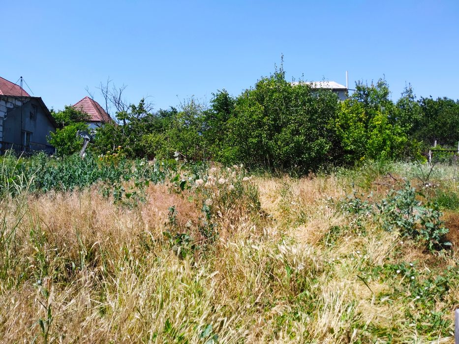 Земля 6 соток вид на ставок Миколаїв ТЕРНІВСЬКІ ДАЧІ 15 хв до центру