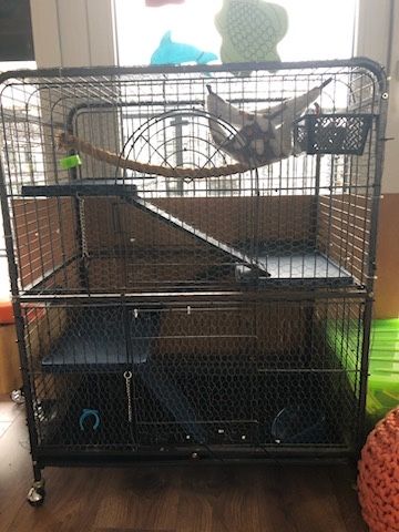 Klatka dla gryznoni villa z zestawem startowym dla gryzoni.