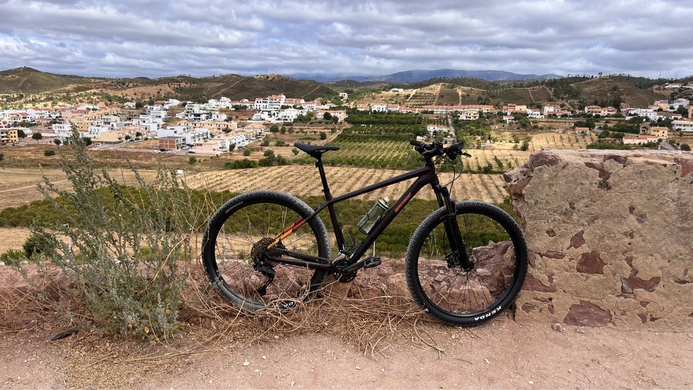 Bicicleta BERGAMONT. Aro 29