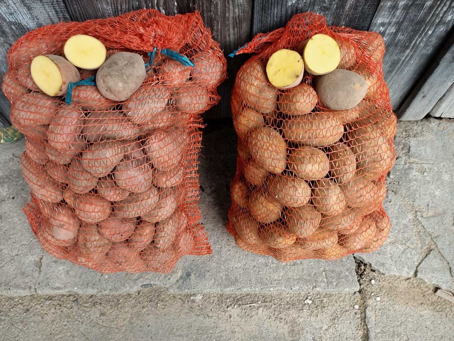 Ziemniaki jadalne Soraya, Lawenda