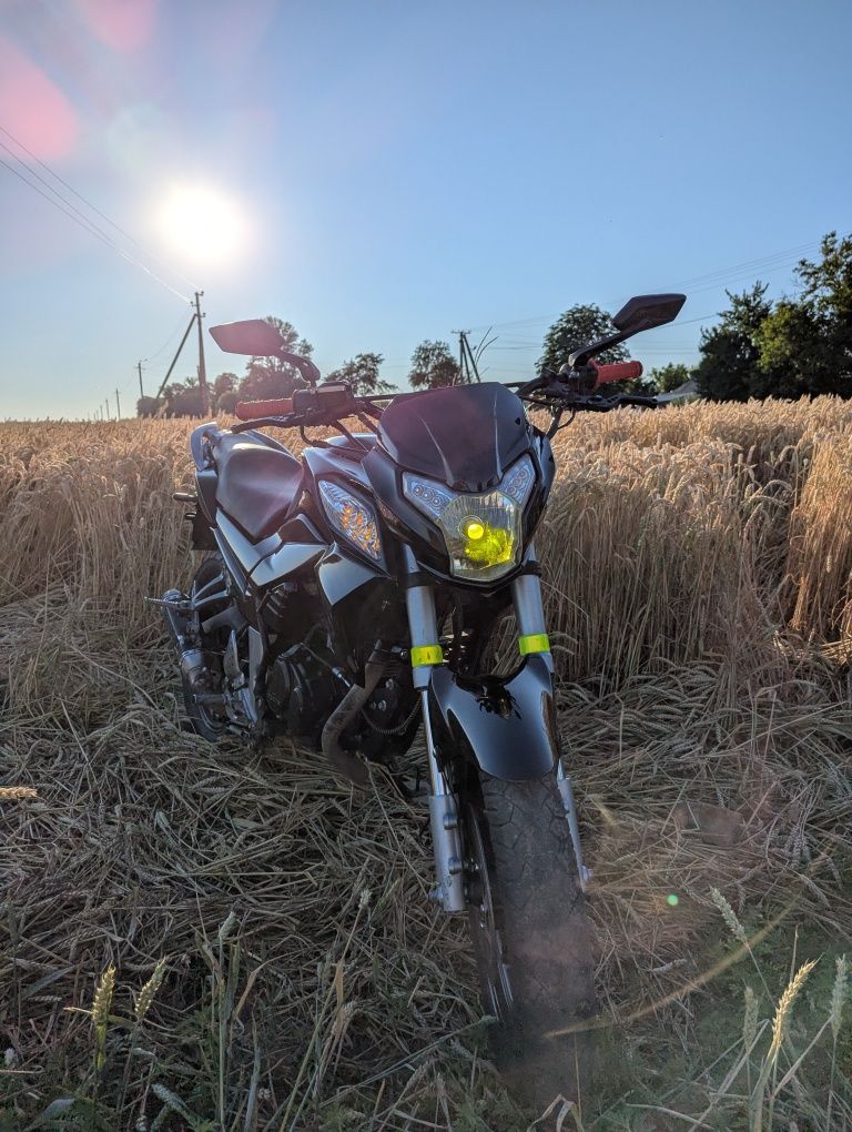 Forte ft 250 cka