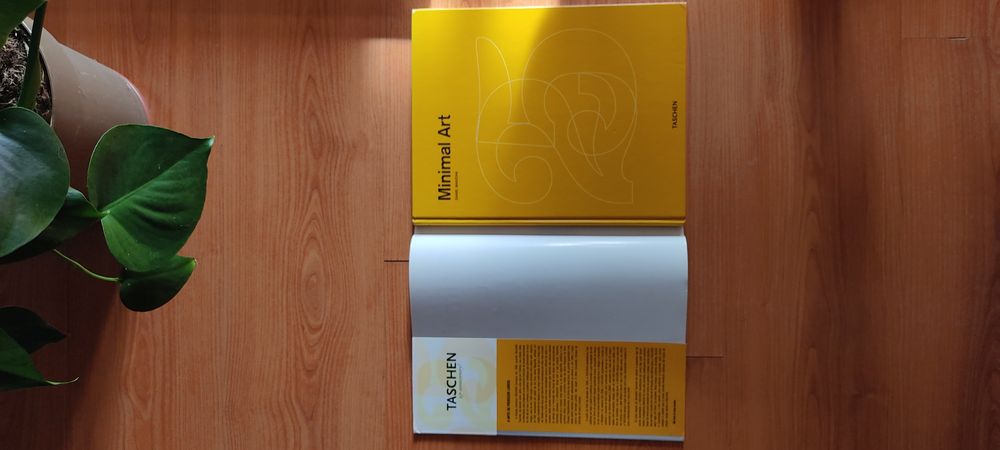 Minimal Art Daniel Marzona Edição Especial 25 Anos Taschen
