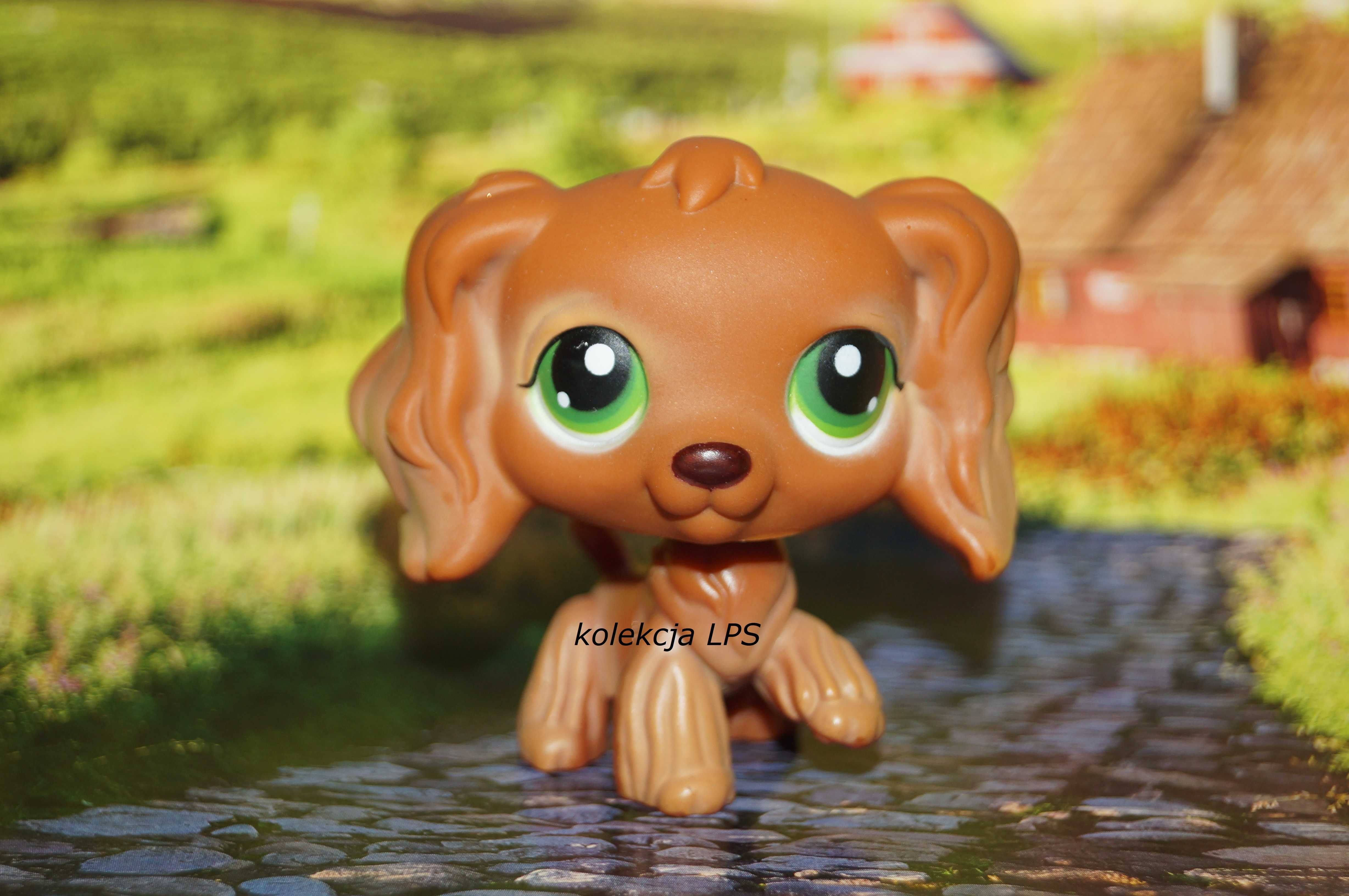 LPS Littlest Pet Shop spaniel #252 oryginalny POP oryginał